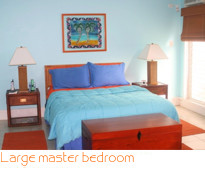 Large master bedroom